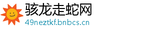 骇龙走蛇网
